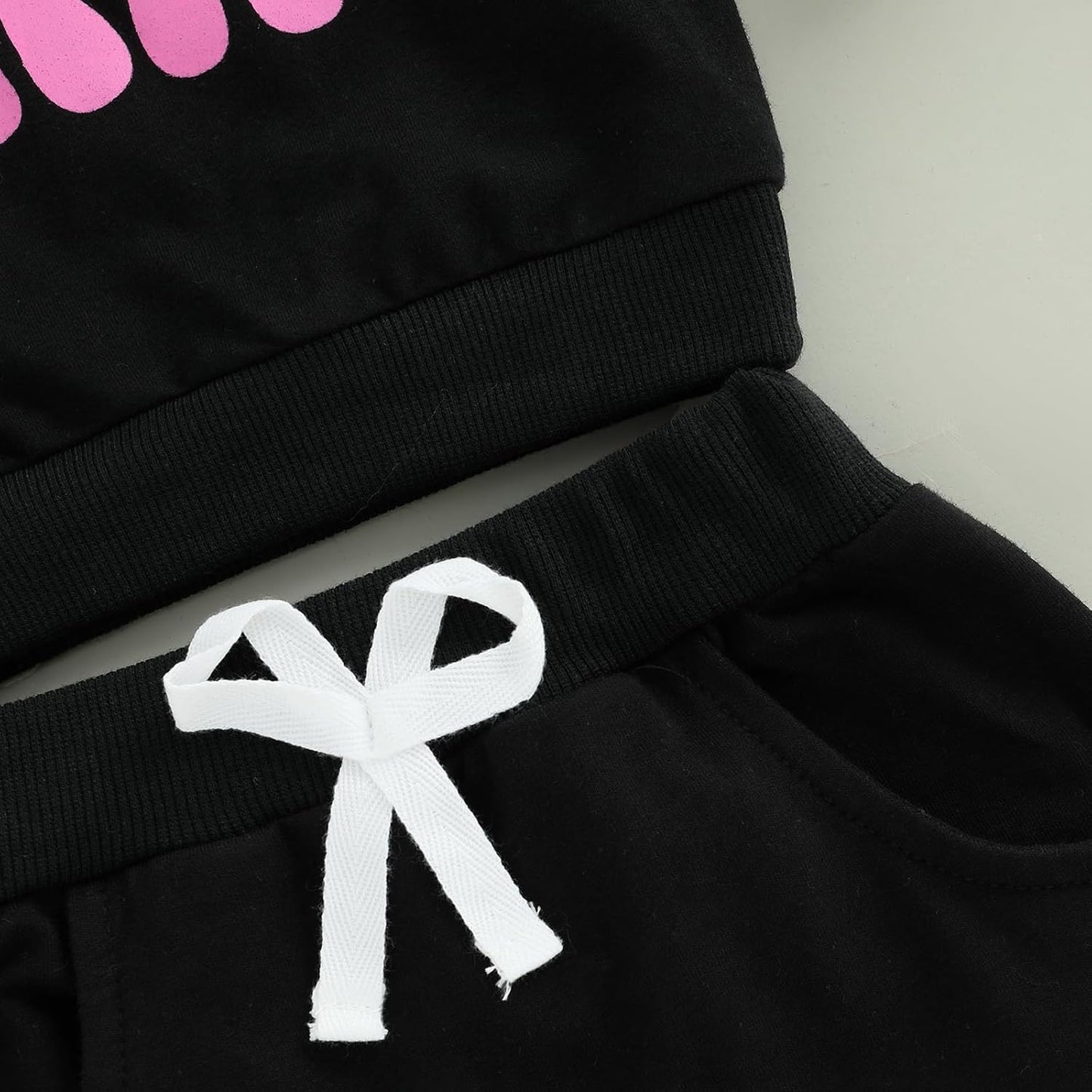 WZTYYDS Baby Girl First Birthday Outfit In My One Year Old Era Sweatshirt Fall Long Sleeve 1st Birthday Shirt Pants Set