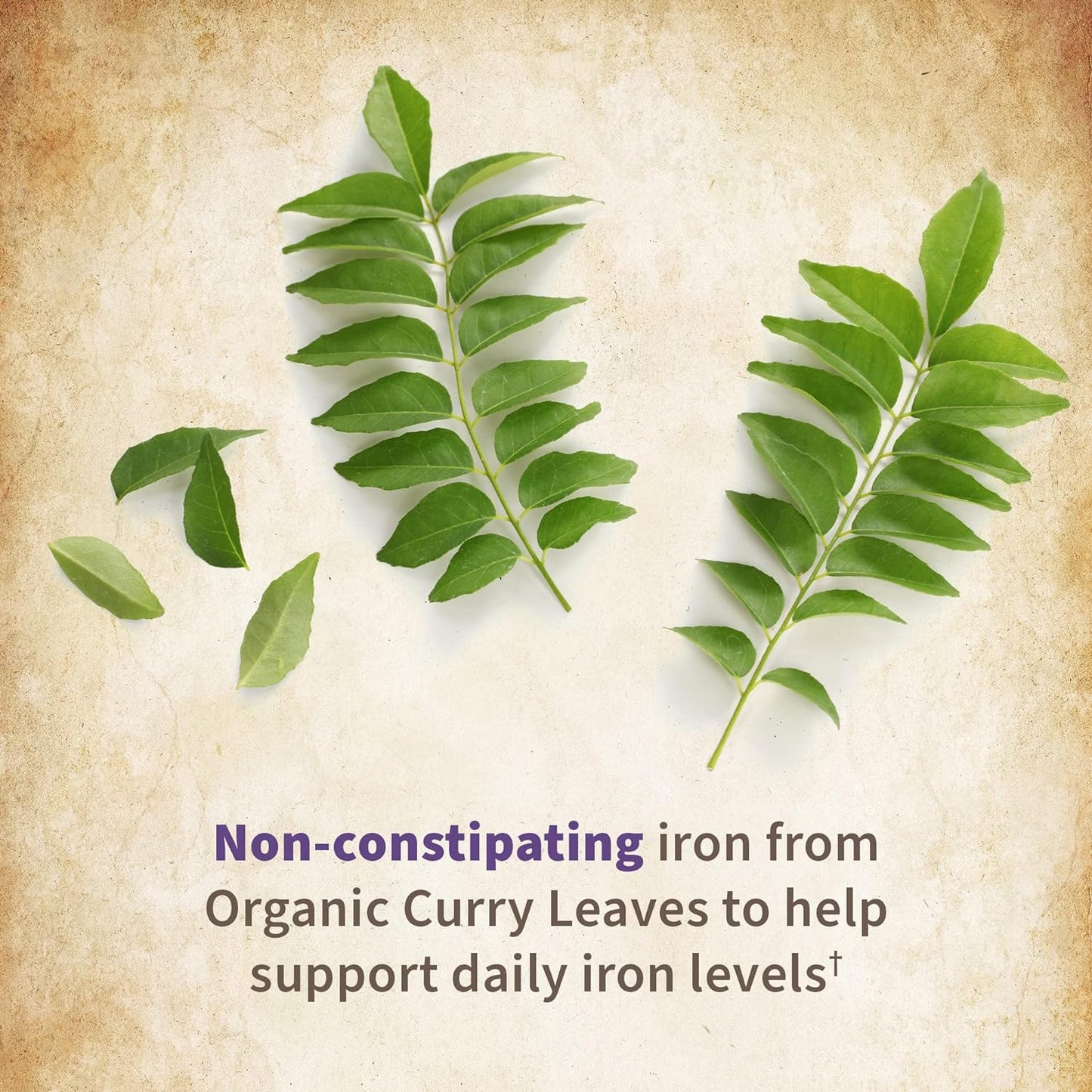 Best Organic Prenatal Vitamin: Garden of Life mykind - 30 Tablets, Daily Vegan Multi with Folate, Vitamin D3, Iron for Women's Prenatal Health